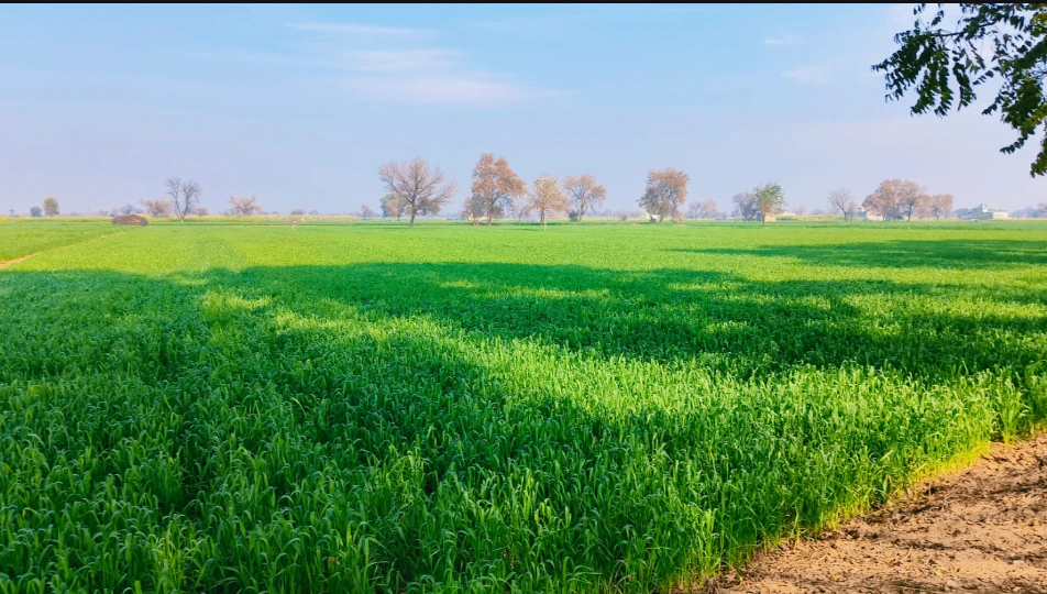 Boria Kal, Chhattisgarh 492015, India