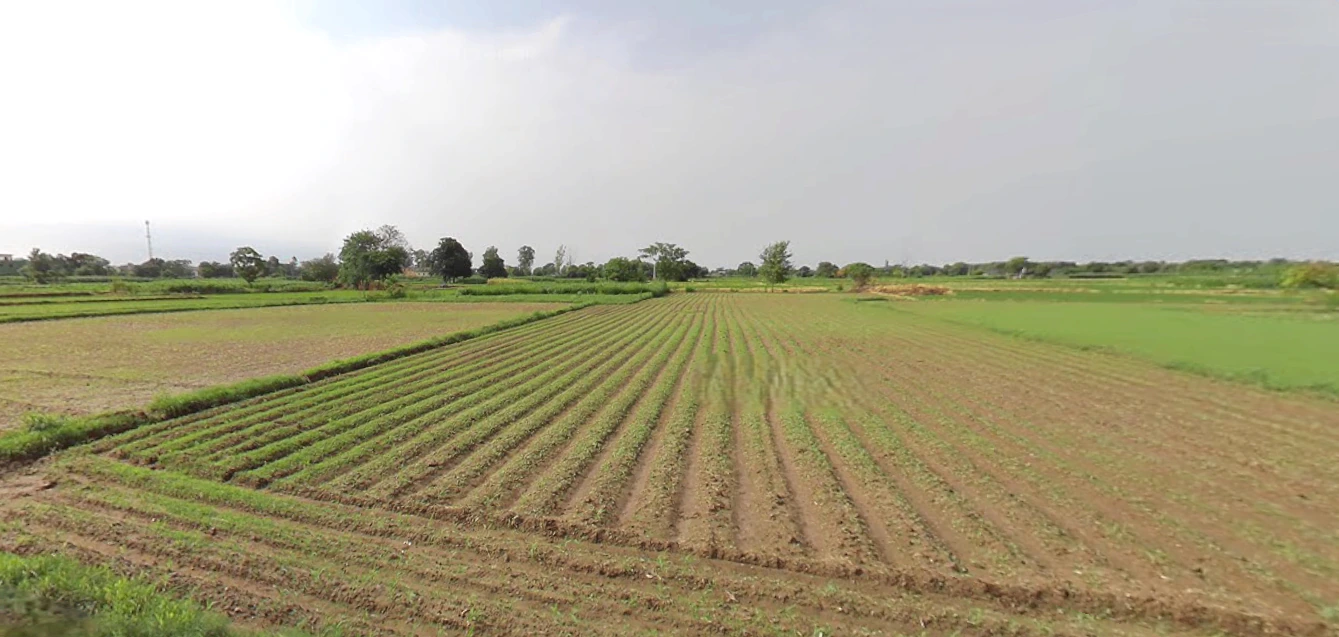 Khizrabad, Punjab 140109, India