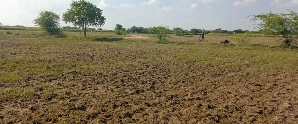 6JVH+5P Chirawa, Jhunjhunu, Rajasthan, India