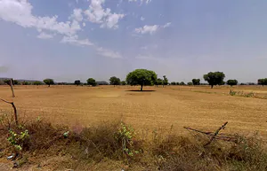 Bhalkhi Majra, Haryana 123102, India preview 3