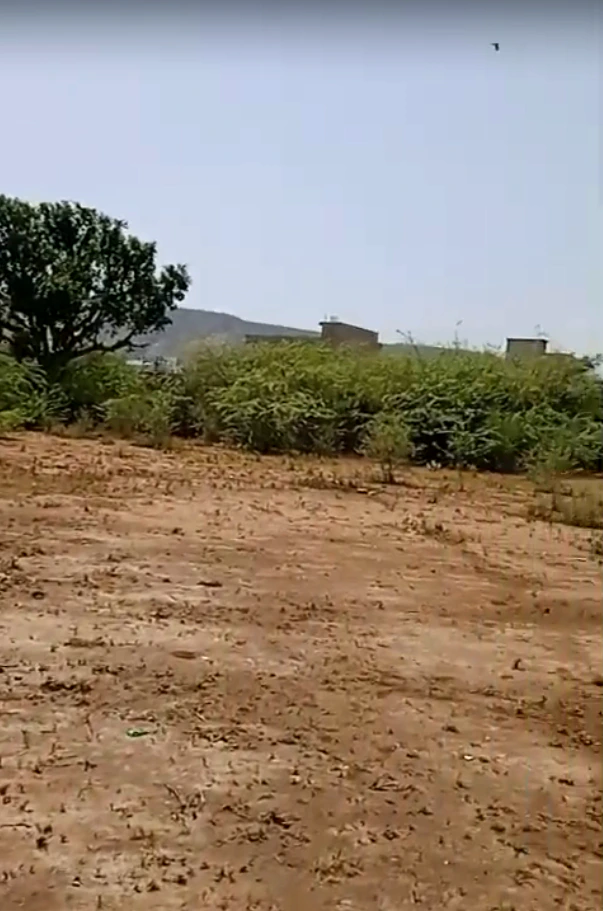 38Q7+2H9, Patti Beena, Rajasthan 301410, India