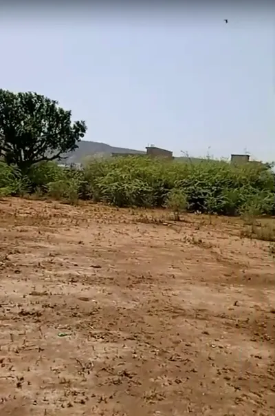 38Q7+2H9, Patti Beena, Rajasthan 301410, India preview 2