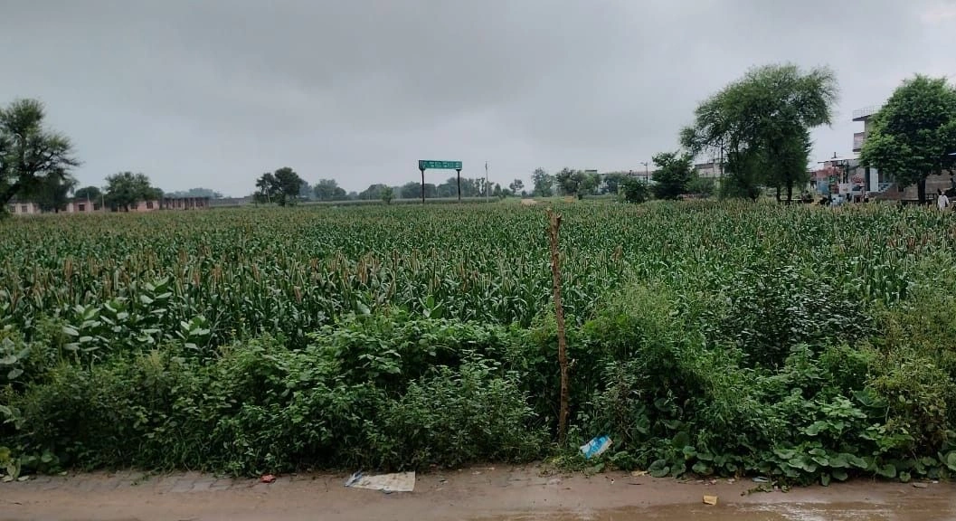 Papra, Rajasthan, India