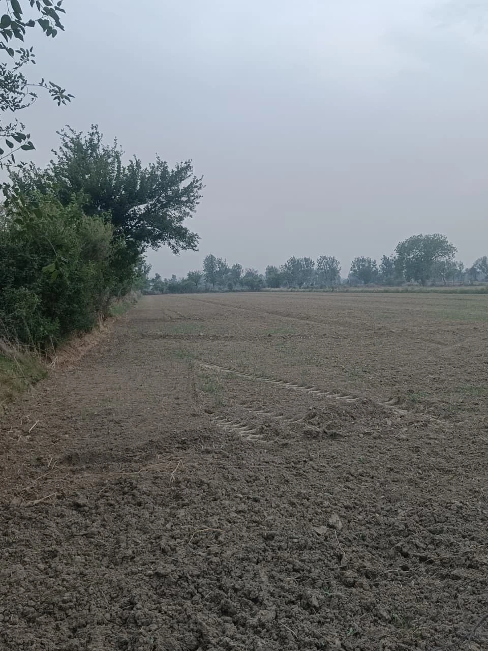 Banda, Uttar Pradesh 242042, India