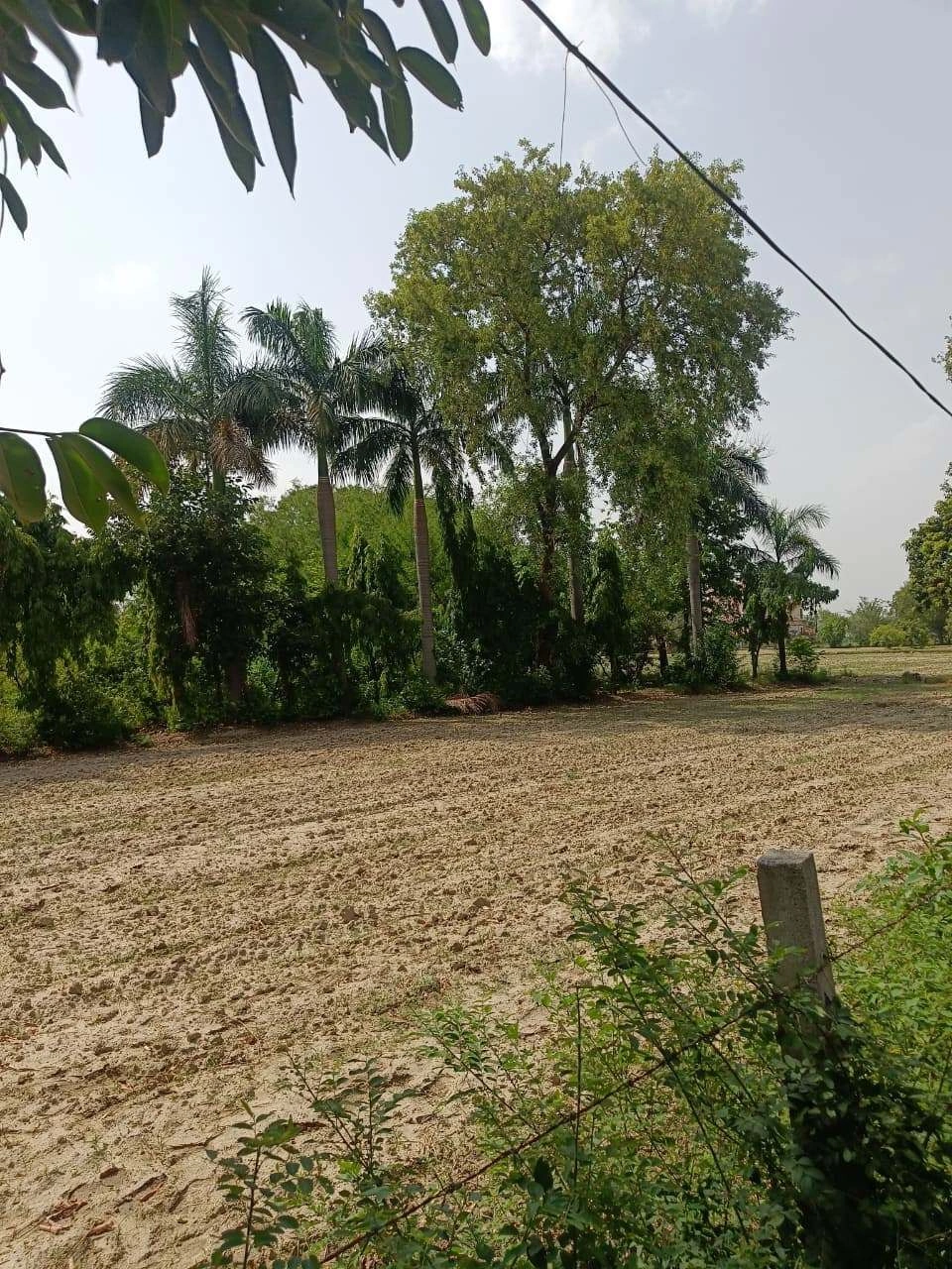 Gauhari, Uttar Pradesh 281401, India