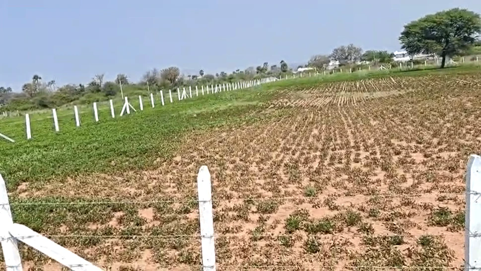 PHRG+C9 Gundal, Telangana, India