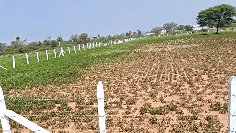 PHRG+C9 Gundal, Telangana, India preview 3