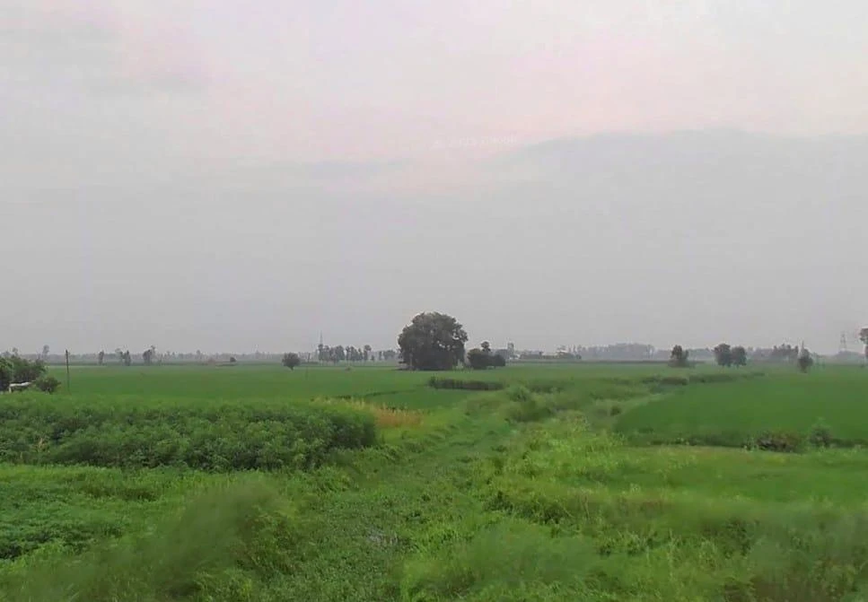Puranpur, Uttar Pradesh 262122, India