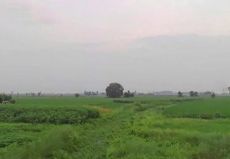 Puranpur, Uttar Pradesh 262122, India preview 2