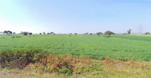 Harda, Madhya Pradesh 461331, India preview 2