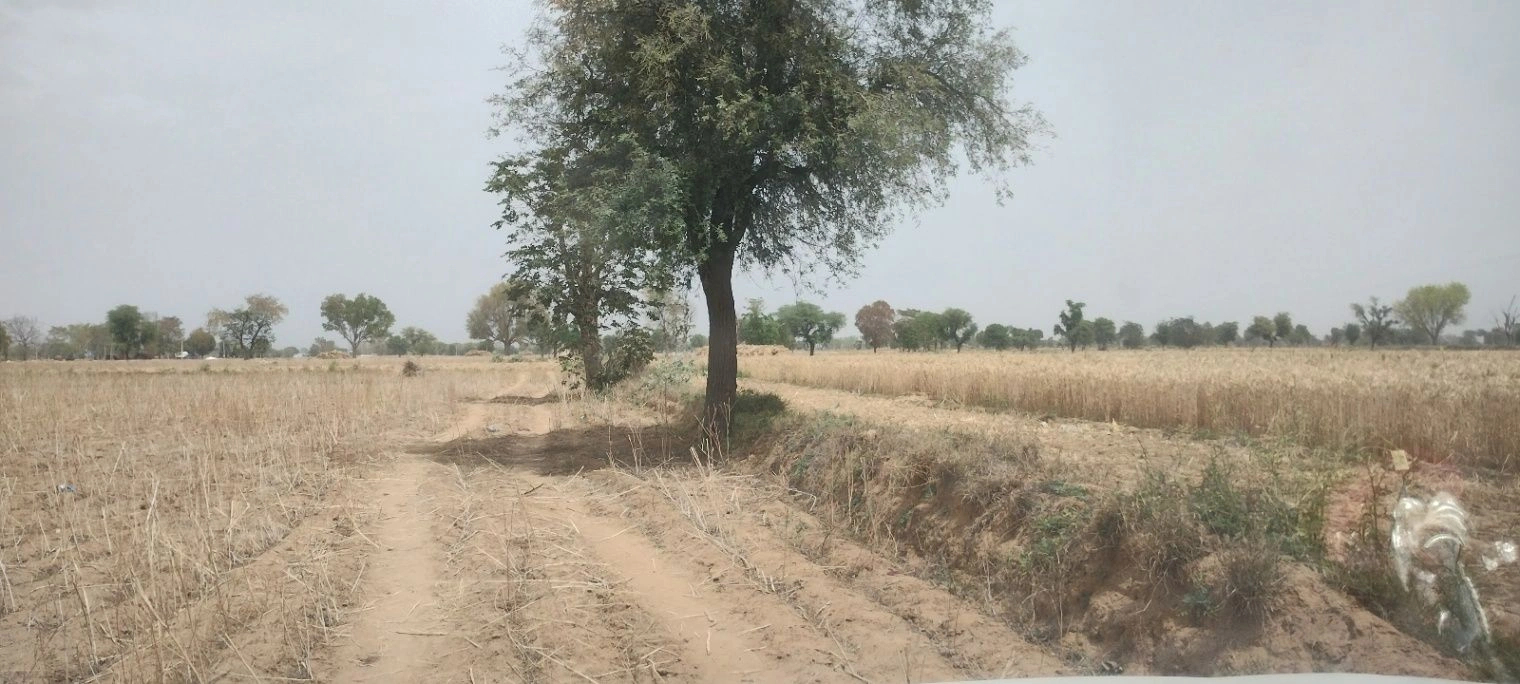 FV8W+Q4C, Chak Semli, Rajasthan 301021, India