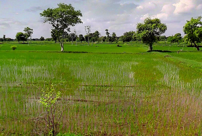 Chatuwa, Chhattisgarh, India preview 3