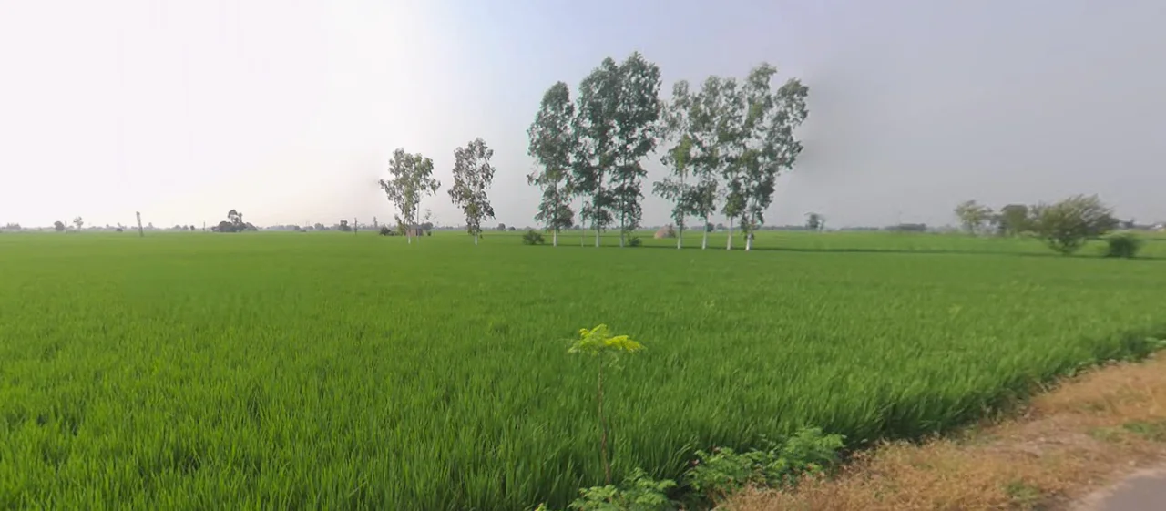 Sanour, Sheesh Mahal Enclave, Patiala, Punjab 147001, India preview 2