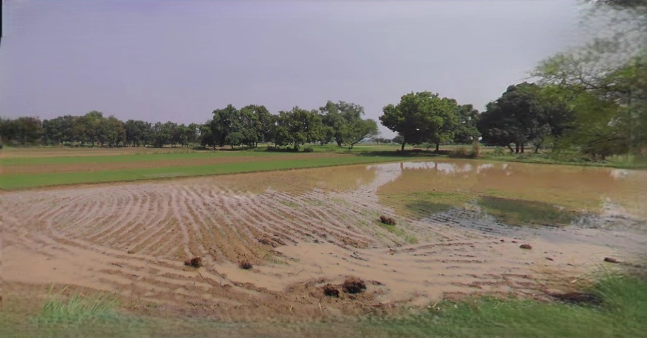 Rewari, Haryana 123401, India