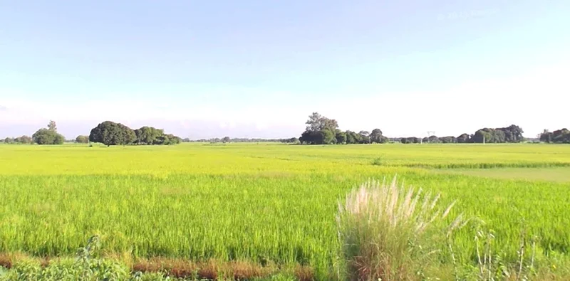 Jaora, Madhya Pradesh 457226, India preview 3