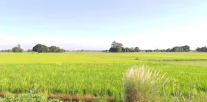 Jaora, Madhya Pradesh 457226, India preview 3