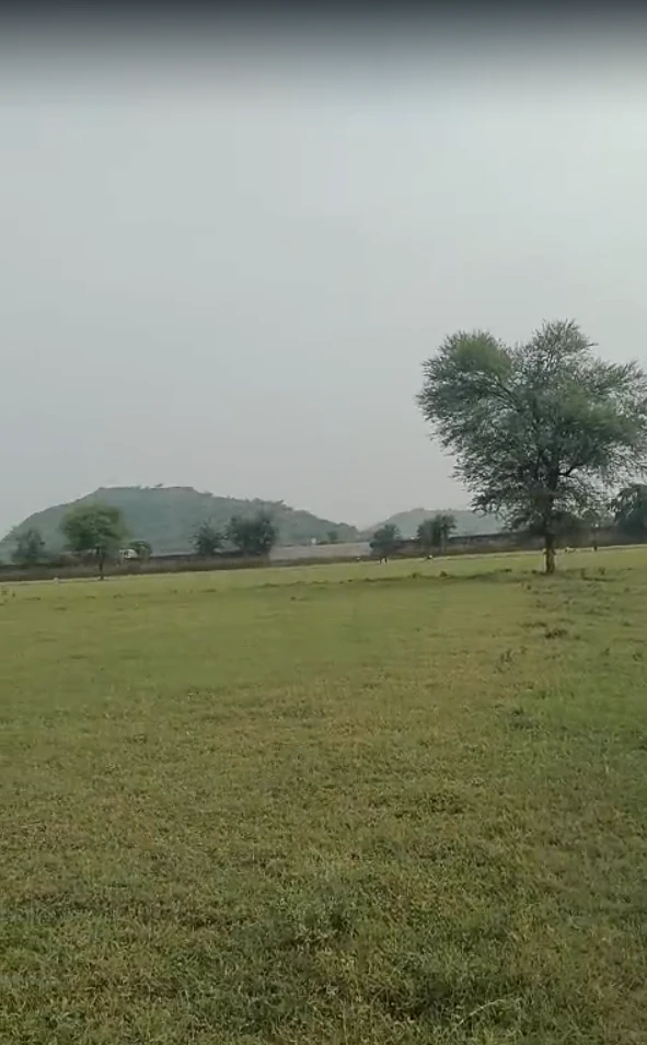 Q444+7HJ, Kotputli-Behror, Nareda, Narhera, Rajasthan 303105, India