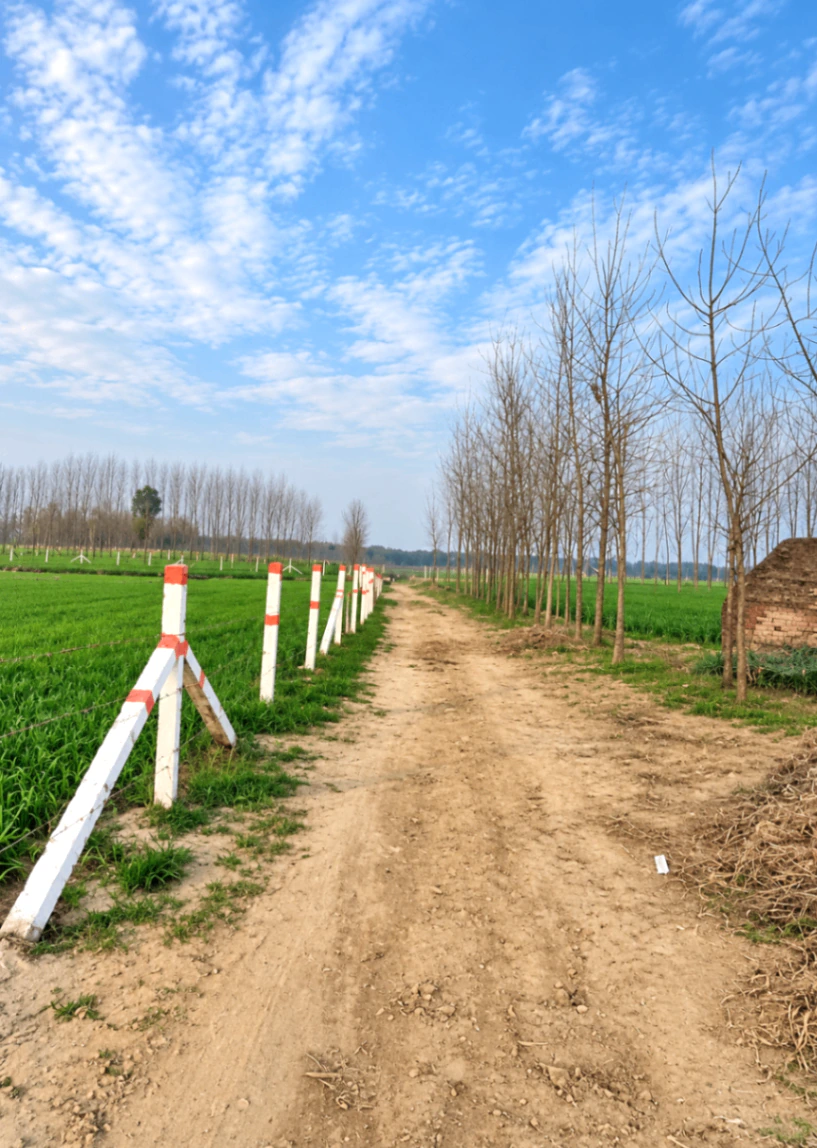 Fatehpur, Bulandshahr, Uttar Pradesh, India - Photo 3