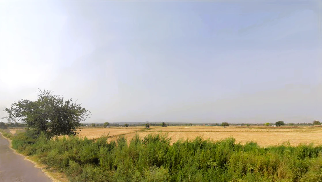 Pali, Haryana, India