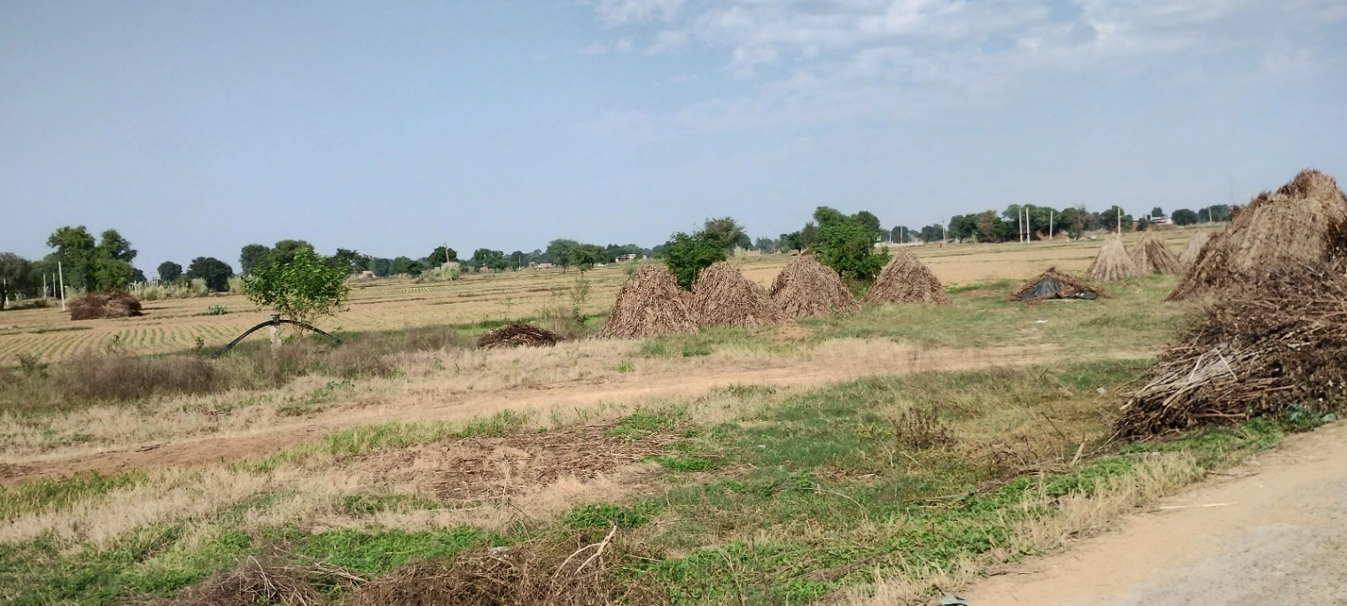 FWR6+JJ5, Gahankar, Rajasthan 301021, India