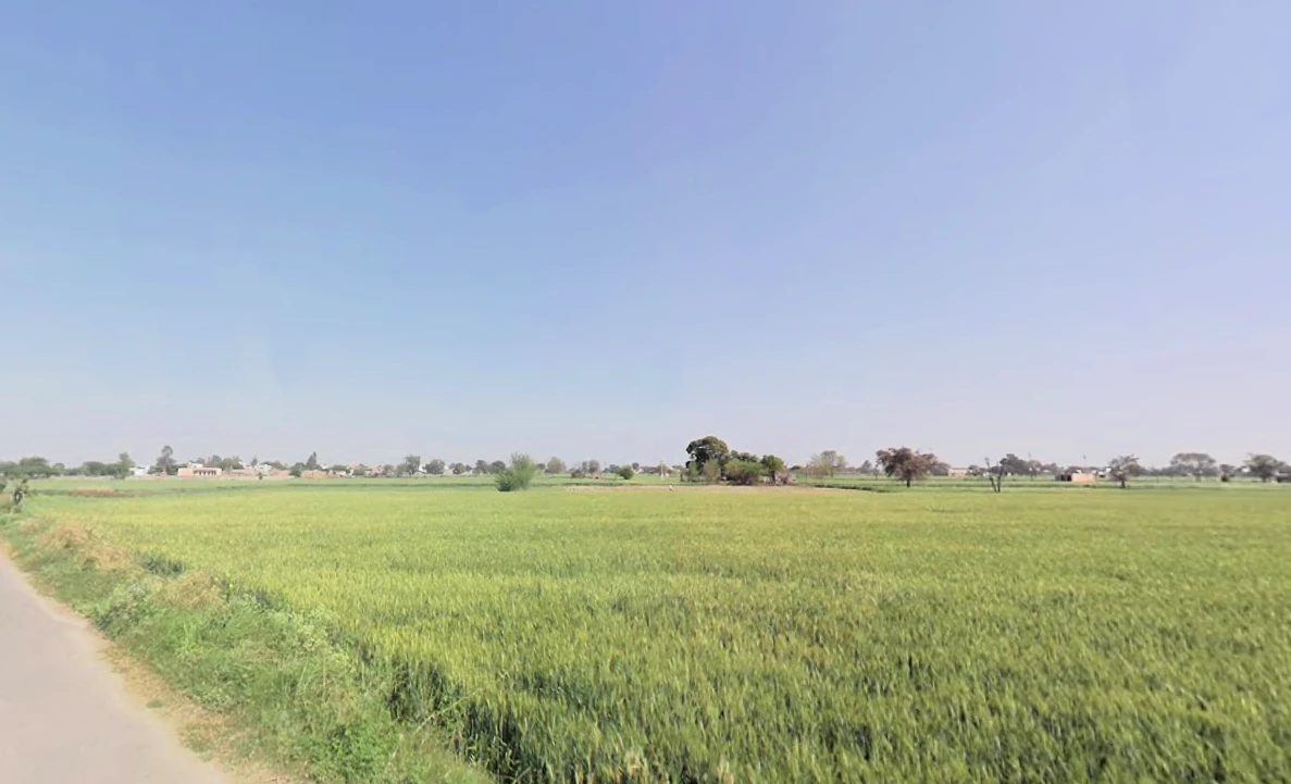 Murthal, Haryana, India