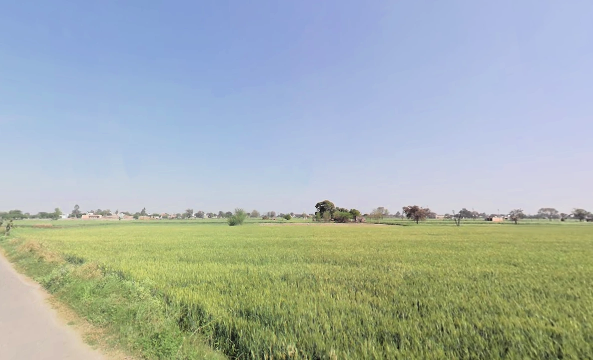 Murthal, Haryana, India