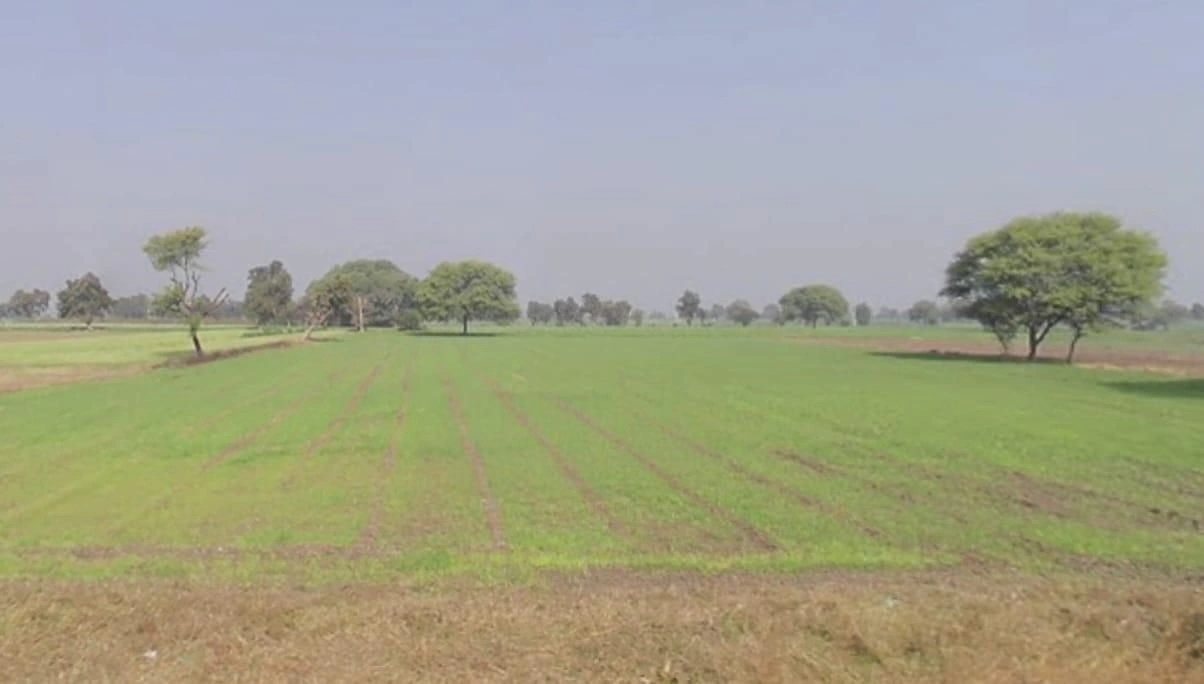 Pandhaniya, Madhya Pradesh 451115, India preview 3