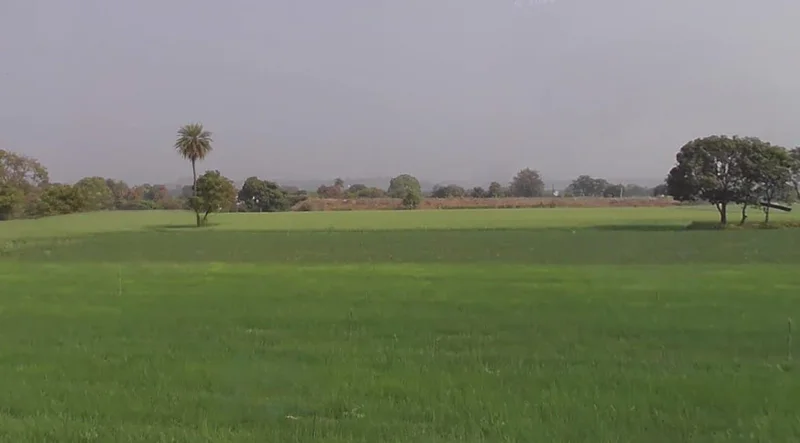 Ronsara, Madhya Pradesh 487330, India preview 2