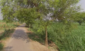 Govindpur, Uttar Pradesh 250104, India preview 3
