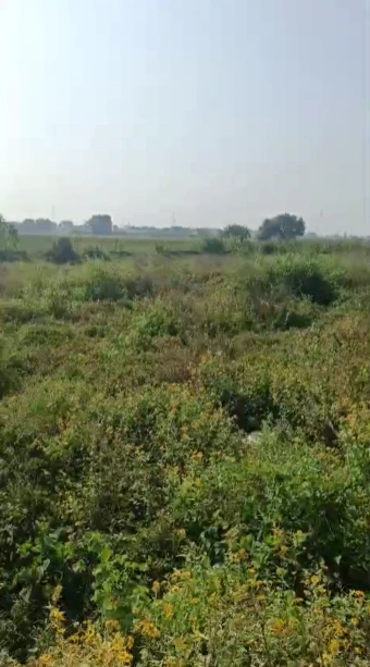 R4W9+8J7, Aligarh, Kamalpur, Uttar Pradesh 202002, India