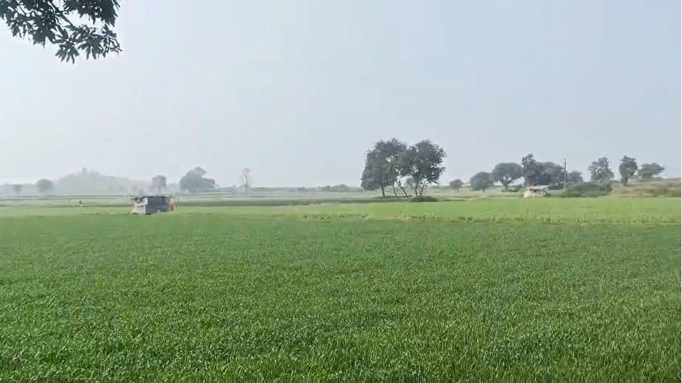 2X2M+X8Q, Singawada, Madhya Pradesh 455001, India