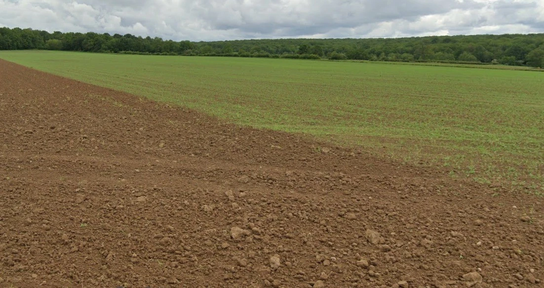 Panjra Kashiram, Madhya Pradesh 464672, India