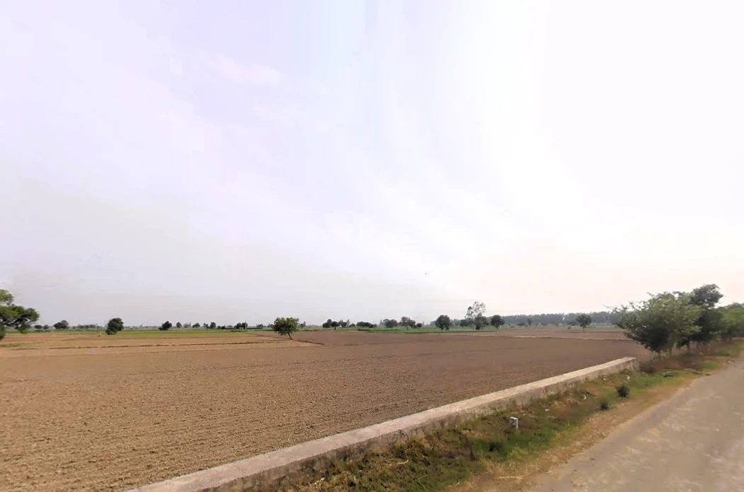 Gurana, Haryana 125005, India
