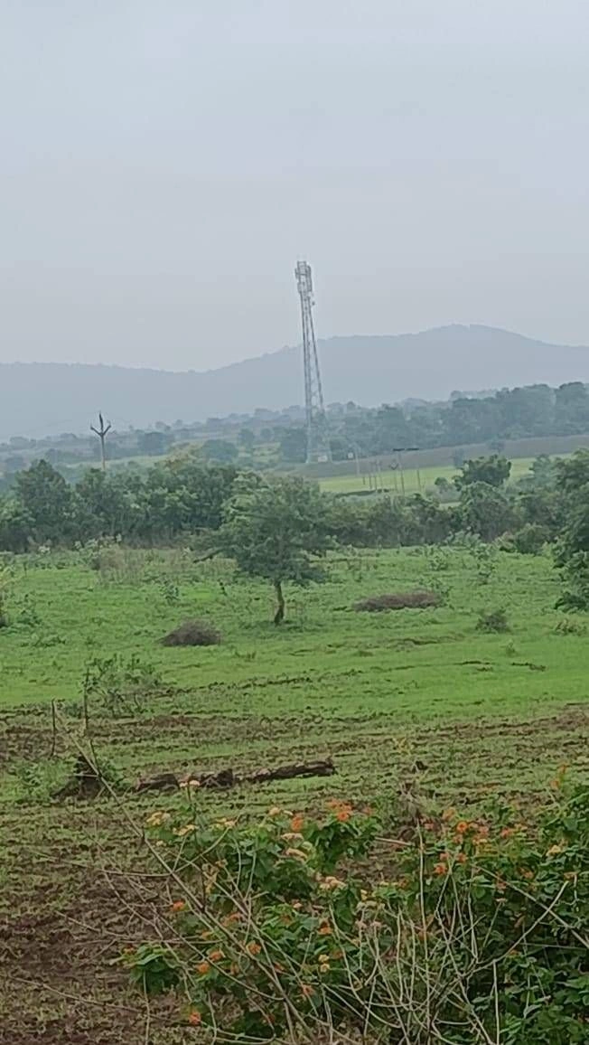 MVW3+6HQ, Mubarikpur, Rajasthan 301025, India preview 2