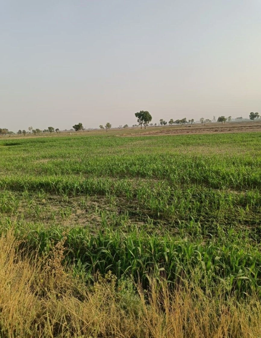 H2VJ+9V6, Jaipur, Vrindawanpura at Roopwas, Rajasthan, India