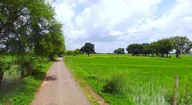 Khatoo, Rajasthan 332602, India preview 2