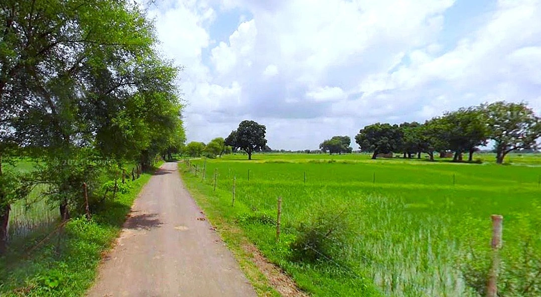 Khatoo, Rajasthan 332602, India