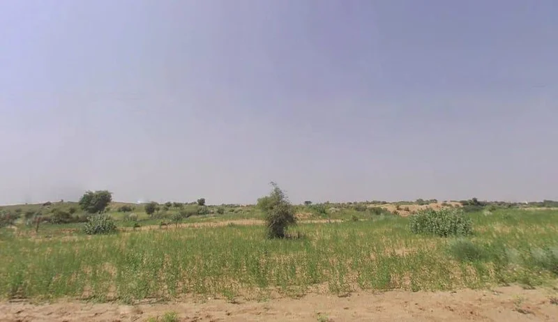 Katriyasar, Rajasthan 334022, India preview 2