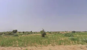 Katriyasar, Rajasthan 334022, India preview 2