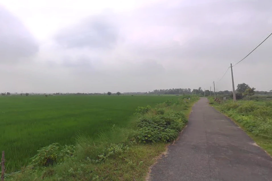 Dhampur Kando, Uttar Pradesh 244410, India