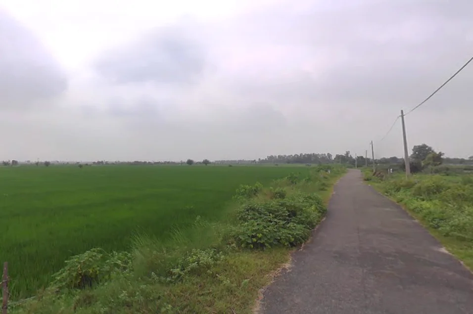 Dhampur Kando, Uttar Pradesh 244410, India preview 3