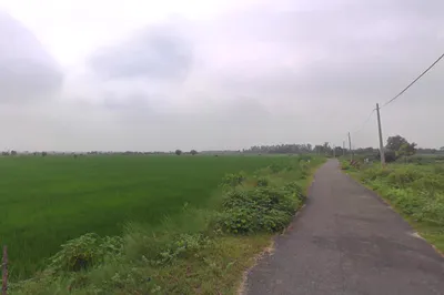 Dhampur Kando, Uttar Pradesh 244410, India preview 3