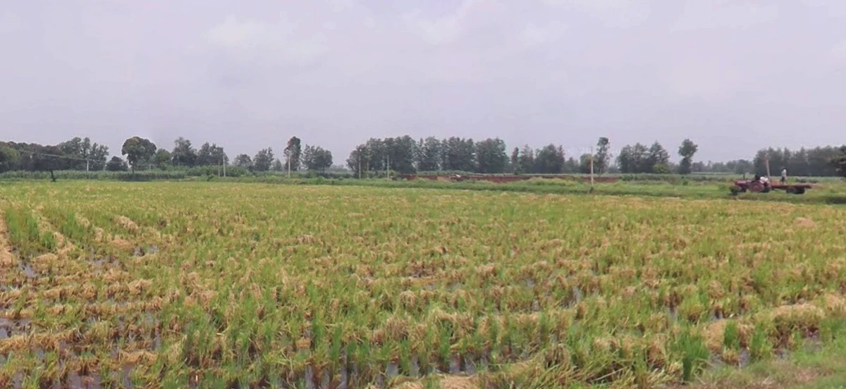 Chintaman Ganesh Mandir, Ujjain, Ratnakhedi, Madhya Pradesh 456006, India