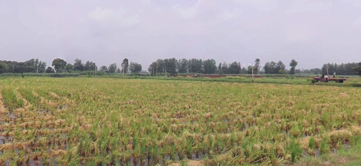 Chintaman Ganesh Mandir, Ujjain, Ratnakhedi, Madhya Pradesh 456006, India