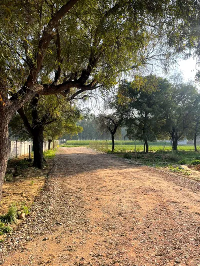 Sector 99A, Gurugram, Haryana 122505, India preview 3