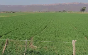 Birbira, Chhattisgarh 493441, India preview 3