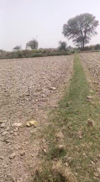 Panigaon Khader, Mathura, Uttar Pradesh 281121, India
