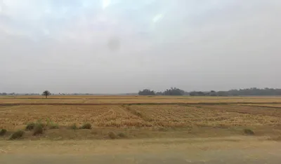 Masagram Station Road, West Bengal 713401, India preview 3