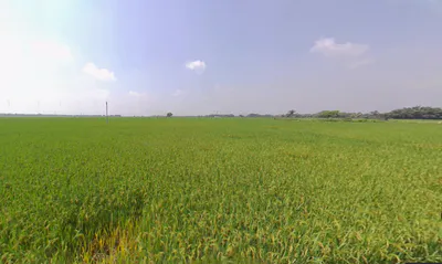 Singur, West Bengal 712409, India preview 2