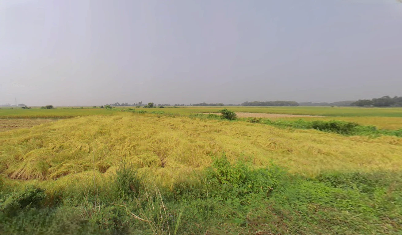 Singur, West Bengal 712409, India